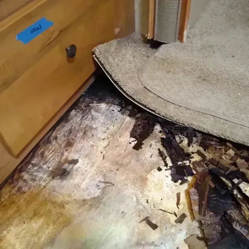 Wood Floor Water Damage in Lake Wildwood, CA